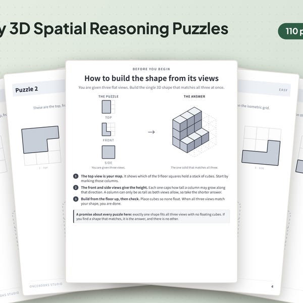 Easy 3D Spatial Reasoning Puzzles: Visual Logic Workbook