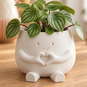 May include: A matte white ceramic planter shaped like a small character with arms forming a heart shape in front of its body. The planter has two small feet at the base and contains a Peperomia plant with green, heart-shaped, striped leaves.