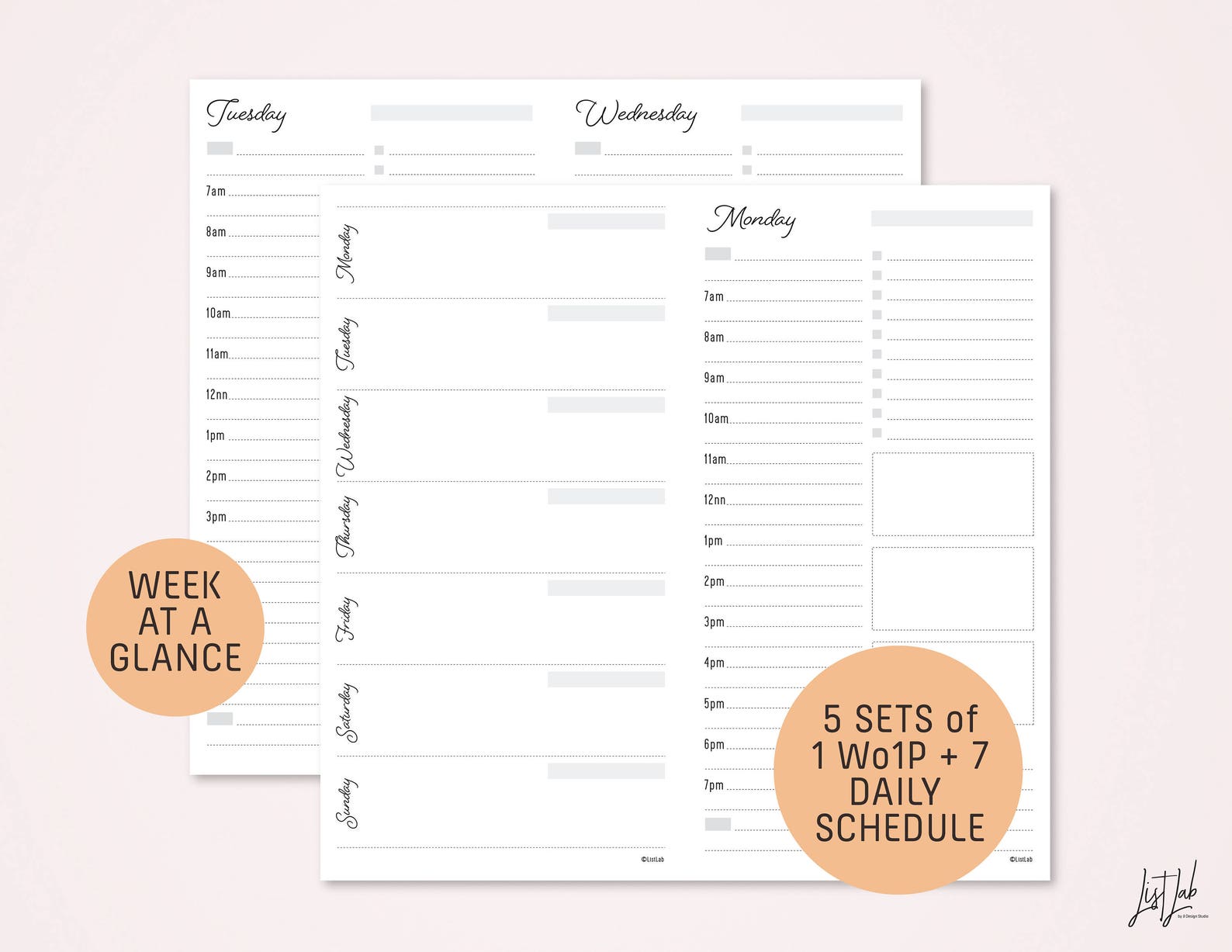 STANDARD Size Monthly-weekly-daily Schedule Traveler's | Etsy