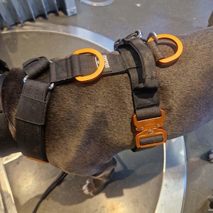 Op de afbeelding: Een zwart hondentuig met feloranje metalen D-ringen en een bijpassende oranje snelsluiting. Het tuig is gemaakt van duurzaam nylon band en bevat een klein rechthoekig label met de tekst DOGAKU in het wit gedrukt.