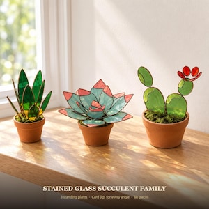 May include: Three stained glass succulent plants in terracotta pots. The left plant has dark green leaves, the center plant has light blue leaves with pink tips, and the right plant is a green cactus with red flowers. Text reads: STAINED GLASS SUCCULENT FAMILY.