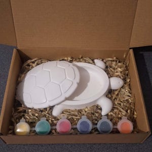 May include: A white ceramic turtle-shaped trinket box with a removable shell lid, presented in a cardboard box filled with shredded paper filler. The set includes six small, circular plastic containers filled with various colours of paint.