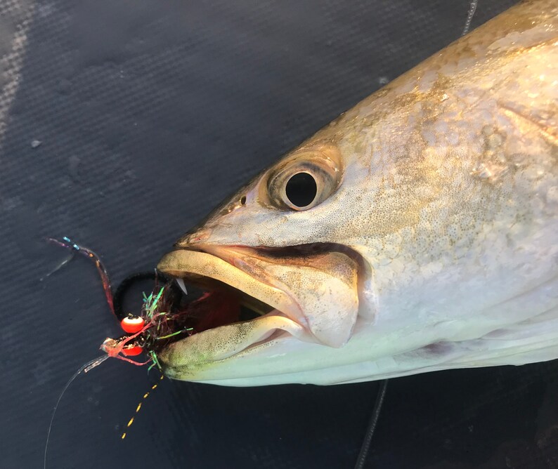 DIrty Harry XL Fly