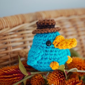 Ornitorrinco azul, Ornitorrinco con sombrero