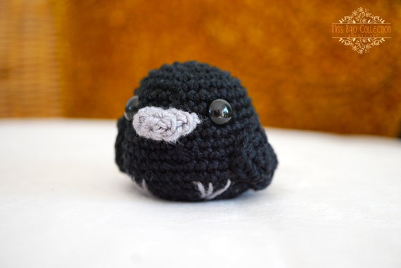 stuffed blackbird