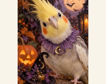 Custom Cockatiel Halloween Portrait from Photo, The Cockatiel Who Loved Halloween, Personalized Digital Art