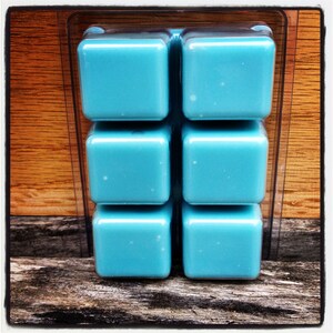 Soy Wax Melts - Butt Naked - Fruity Scented Soy Tart, Wax Tarts, Wax Melt, Soy Wax, Clamshell Melts, Candle Melt, Soy Candle Melts