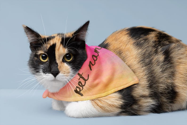 Gradient Bandanas Personalized Pink Pet Bandana - Adjustable Clip-on Collar Accessory/dog ...
