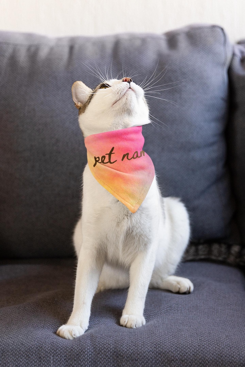 Gradient Bandanas Personalized Pink Pet Bandana - Adjustable Clip-on Collar Accessory/dog ...