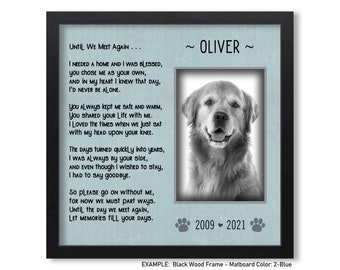 Rescue Dog Loss,  Dog Died Gift, Pet Loss Gift, Rescue Cat, Personalized Cat Gift, Pet Memorial Gift, Pet Sympathy Frame, Pet Memorial Frame