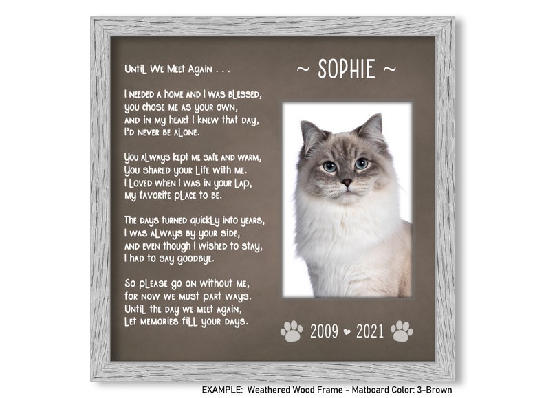 Cat Loss Gifts Cat Loss Memorial Cat Died Gift Cat Memorial Etsy