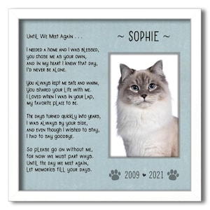 Cat Frame, Cat Died Gift, Cat Memorial Gift, Cat Memorial Frame, Cat Loss Gifts, Cat Memorial Gifts, Pet Memorial Gift, Cat Rescue Loss