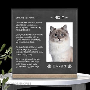 Cat Loss Gifts, Cat Loss Memorial, Cat Died Gift, Cat Memorial Gift, Cat Personalized Picture Frame, Pet Loss Gift, Pet Memorial 8x8 inches