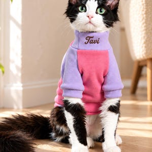 May include: A black and white cat wearing a color-blocked fleece sweater with a lavender turtleneck and a bright pink chest panel. The sweater features the name Tavi embroidered in dark brown script on the front of the neck collar.