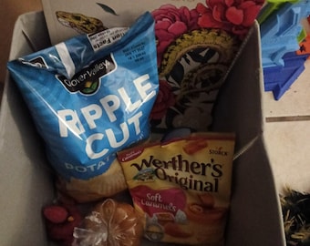 May include: A gray fabric storage bin containing a Tattoos Advanced Coloring book, a blue bag of Clover Valley Ripple Cut potato chips, a bag of Werther's Original Soft Caramels, a small wrapped round pastry, and a small cluster of red berries.