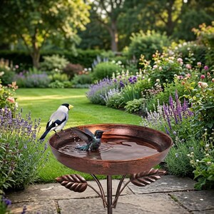 May include: A round, copper-coloured metal bird bath with a hammered texture, featuring decorative leaf-shaped accents on the base. A small hummingbird is splashing in the water while a black, white, and yellow bird perches on the rim.