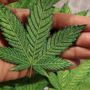 May include: Close-up of a detailed, embroidered green cannabis leaf. The leaf features intricate stitching that highlights the veins and edges. The image showcases the leaf's texture and vibrant color, suggesting a craft or decorative item.