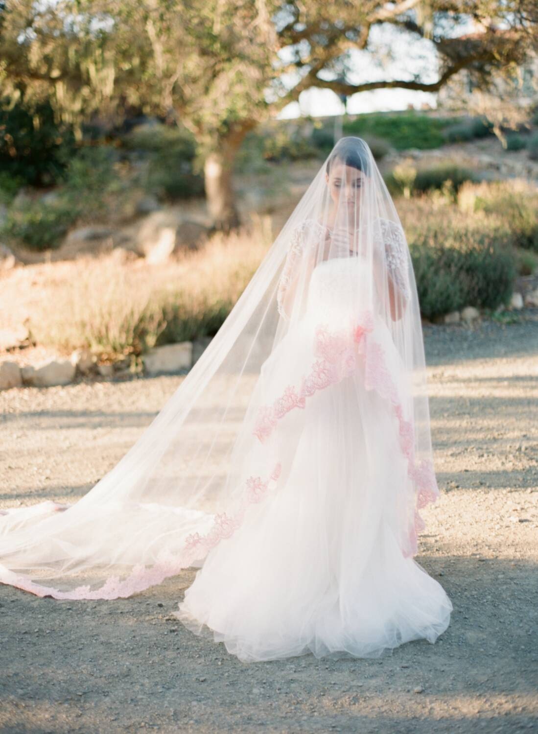 Blush Veil Blush Wedding Veil Cathedral Veil Bridal Veil Etsy