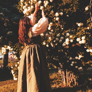 Women’s Renaissance Gown, renaissance clothing, fairy tale costumes, womens dresses , halloween costume, medieval clothing, theatre costume