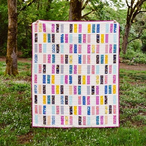 May include: A colorful quilt with a white background and vertical rectangular blocks in various colors, including pink, blue, yellow, and black. The quilt has a magenta border and is hanging outdoors in a natural setting.