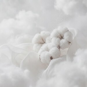 Op de afbeelding: Een tros witte katoenbollen genesteld tussen zachte, vloeiende witte stof en pluizig wit materiaal, met fijne witte deeltjes verspreid door het tafereel, wat zorgt voor een monochrome en getextureerde visuele compositie.