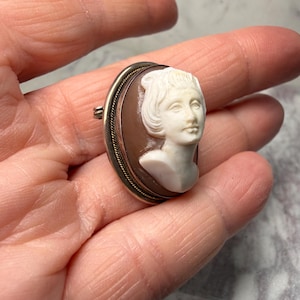 Puede incluir: Broche de camafeo ovalado con un perfil blanco tallado de una mujer sobre un fondo marr&oacute;n. El camafeo est&aacute; enmarcado por un borde de metal dorado con un borde decorativo en forma de cuerda. Un alfiler est&aacute; unido a la parte posterior.