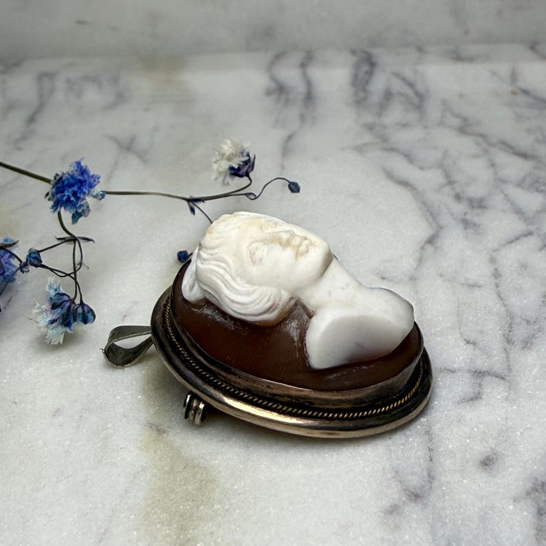 Puede incluir: Broche de camafeo antiguo con un perfil blanco tallado sobre una base ovalada marr&oacute;n. El broche tiene una fianza plateada y un marco dorado con un borde decorativo. Una ramita de flores azules y blancas est&aacute; en el fondo.