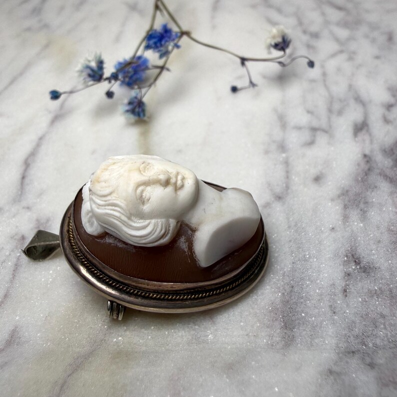 Puede incluir: Broche de camafeo vintage con un perfil blanco tallado sobre un fondo marr&oacute;n. El broche tiene un marco de metal plateado con un borde decorativo y un cierre de alfiler. Delicadas flores azules en el fondo.