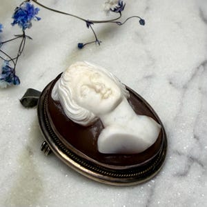 Puede incluir: Colgante de camafeo ovalado con busto femenino tallado en blanco sobre fondo marr&oacute;n, enmarcado por un borde de metal plateado. El fondo presenta delicadas flores azules. Una joya cl&aacute;sica.