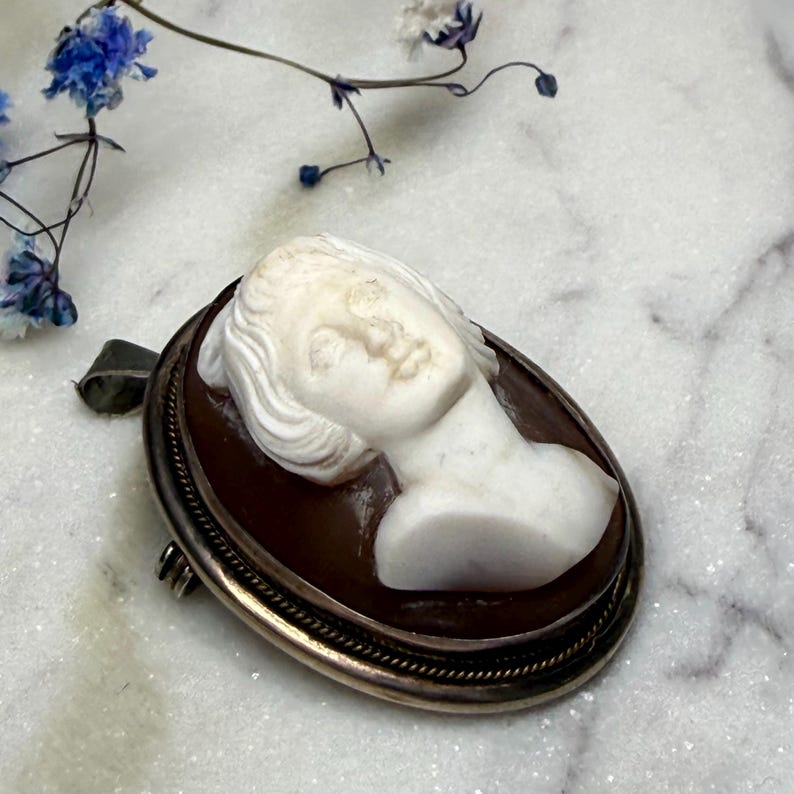 Puede incluir: Colgante de camafeo ovalado con busto femenino tallado en blanco sobre fondo marr&oacute;n, enmarcado por un borde de metal plateado. El fondo presenta delicadas flores azules. Una joya cl&aacute;sica.