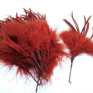 May include: A bunch of red rooster feathers with brown stems. The feathers are soft and fluffy, and they would be perfect for crafting or decorating.