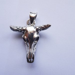 May include: Silver bull skull pendant with detailed horns and a textured surface.