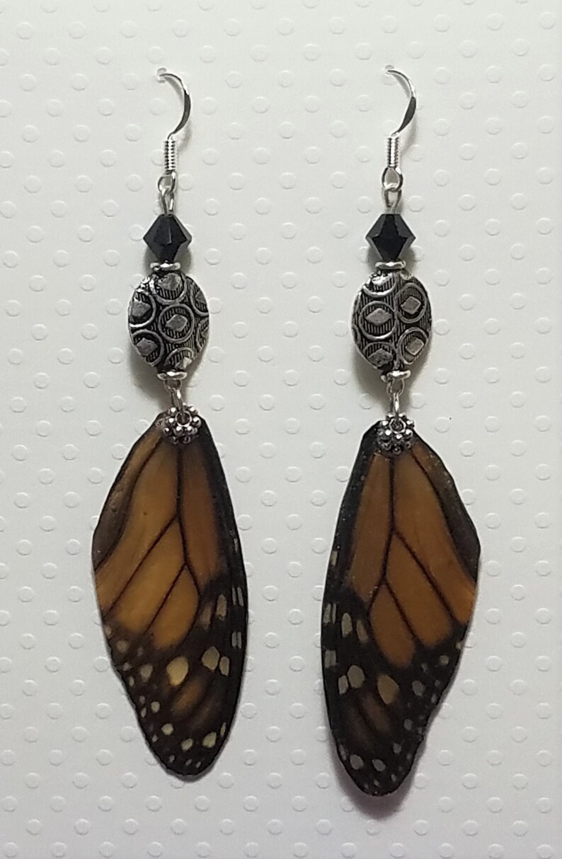 Real Butterfly Wing Forewing Monarch Butterfly Wing Earrings