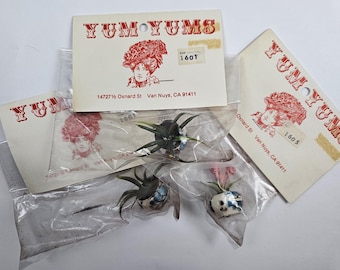 Vintage Dollhouse Miniature Plants, Mini Flower Pots, Antique Tiny Floral Arrangements