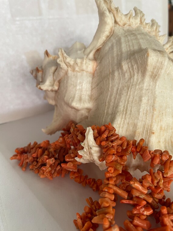 Antique Strand of Natural Salmon Branch Coral Twi… - image 3