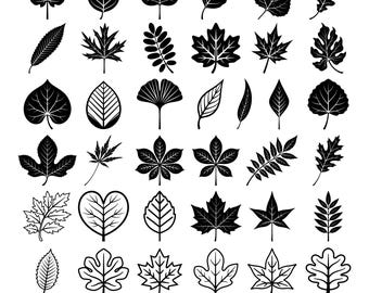 Autumn Leaves SVG Bundle, Fall Leaf Cut Files, Botanical Cricut Designs, Nature Craft Collection