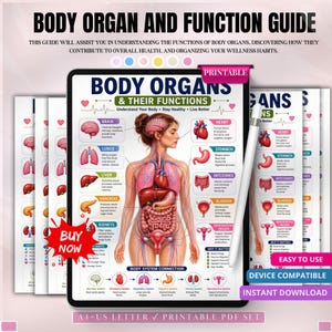 Może przedstawiać: Cyfrowy przewodnik po narządach ciała i ich funkcjach wyświetlony na ekranie tabletu. Wykres zawiera centralną ilustrację anatomiczną ludzkiego tułowia z oznaczonymi narządami, takimi jak mózg, serce, płuca, wątroba i żołądek.