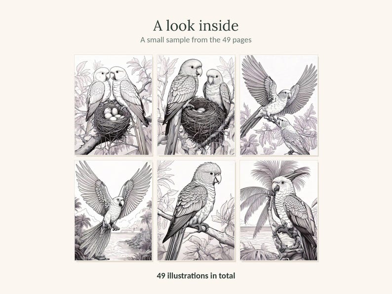 Puede incluir: Una colecci&oacute;n de p&aacute;ginas para colorear con seis ilustraciones en blanco y negro de loros en entornos tropicales. El texto dice A look inside, A small sample from the 49 pages y 49 illustrations in total. Los dibujos muestran aves.