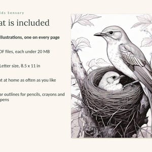 May include: A digital colouring book listing titled Calm Kids Sensory, What is included. It features 49 illustrations, 3 PDF files under 20 MB, US Letter size 8.5 x 11 in, and a black and white line art drawing of a bird in a nest on a tree branch.