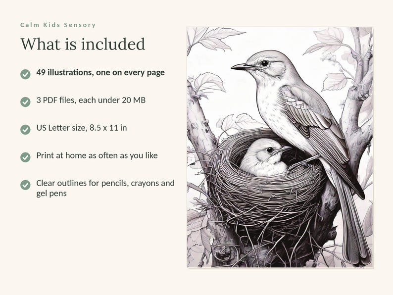 May include: A digital colouring book listing titled Calm Kids Sensory, What is included. It features 49 illustrations, 3 PDF files under 20 MB, US Letter size 8.5 x 11 in, and a black and white line art drawing of a bird in a nest on a tree branch.