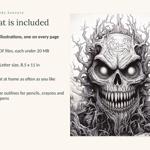 May include: A digital coloring book listing titled Calm Kids Sensory, What is included. Features 84 illustrations, 4 PDF files under 20 MB, US Letter size 8.5 x 11 in, and a black and white line art illustration of a skull with tree branch hair.