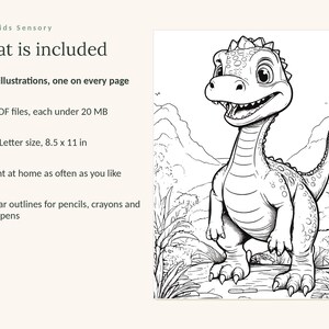 May include: A digital coloring page set titled Calm Kids Sensory. The text What is included lists 48 illustrations, 3 PDF files under 20 MB, US Letter size 8.5 x 11 in, print at home, and clear outlines for pencils, crayons, and gel pens.