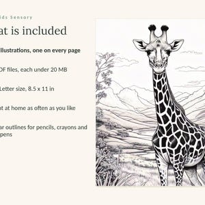 May include: A digital coloring book page featuring a giraffe in a landscape with mountains and trees. Text includes: Calm Kids Sensory, What is included, 49 illustrations, one on every page, 3 PDF files, each under 20 MB, US Letter size, 8.5 x 11 in.