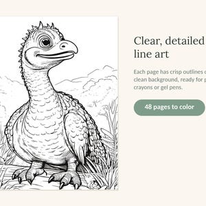 May include: A black and white coloring book page featuring a detailed line art illustration of a young dinosaur standing in a landscape. The text reads: Clear, detailed line art. Each page has crisp outlines on a clean background, ready for pencils, crayons or gel pens. 48 pages to color.