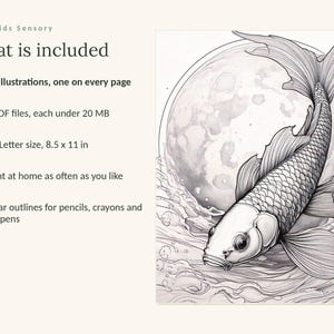 以下が含まれることがあります： 「Calm Kids Sensory」というタイトルのデジタル塗り絵。99点のイラスト、20MB未満のPDFファイル5点、8.5 x 11インチのUSレターサイズのページが含まれています。画像は、泳ぐ鯉の白黒の線画です。