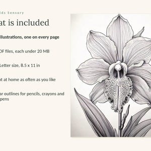 May include: A digital coloring page set titled Calm Kids Sensory featuring a black and white line art illustration of an orchid. Text includes: What is included, 49 illustrations, 3 PDF files under 20 MB, US Letter size 8.5 x 11 in, and print instructions.