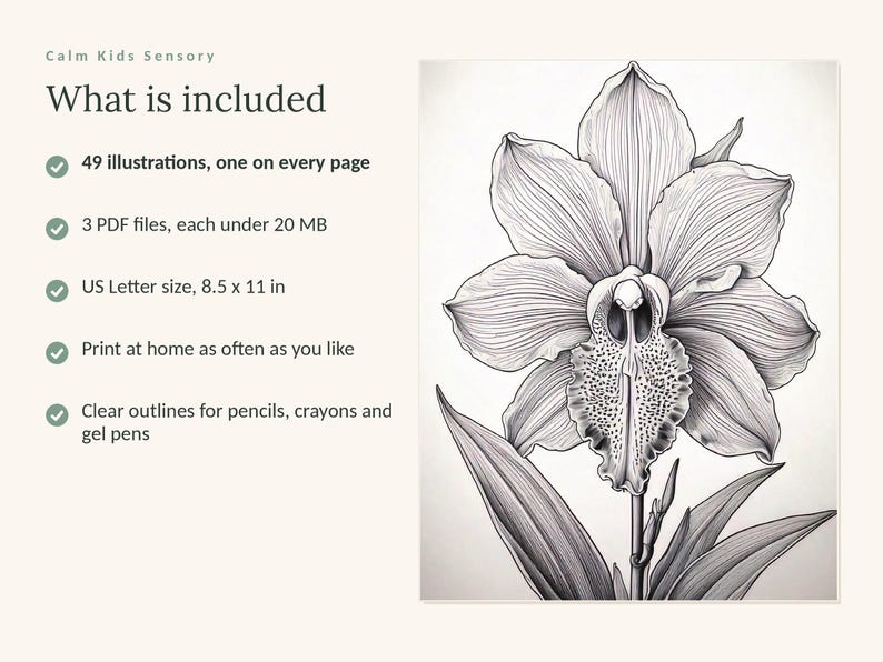 May include: A digital coloring page set titled Calm Kids Sensory featuring a black and white line art illustration of an orchid. Text includes: What is included, 49 illustrations, 3 PDF files under 20 MB, US Letter size 8.5 x 11 in, and print instructions.