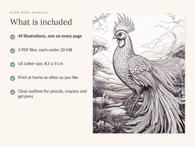 May include: A digital colouring book page featuring a detailed black and white line drawing of a rooster with long tail feathers in a landscape. Text includes: Calm Kids Sensory, What is included, 49 illustrations, 3 PDF files under 20 MB, 8.5 x 11 in.
