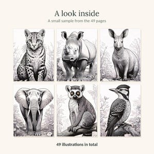 May include: A collection of six black and white animal illustrations featuring an ocelot, rhinoceros, kangaroo, elephant, lemur, and woodpecker. The text reads A look inside, A small sample from the 49 pages, and 49 illustrations in total.