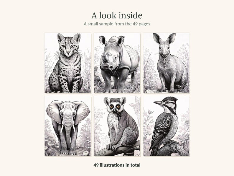 May include: A collection of six black and white animal illustrations featuring an ocelot, rhinoceros, kangaroo, elephant, lemur, and woodpecker. The text reads A look inside, A small sample from the 49 pages, and 49 illustrations in total.